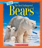 Bears - MARSICO,  Katie - 9780531227251
