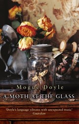 A Moth At The Glass - Mogue Doyle - 9780552777865