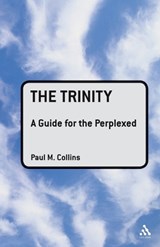 The Trinity: A Guide for the Perplexed - Rev Dr Paul M. Collins - 9780567031853