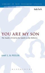 You Are My Son - ASSOCIATE PROFESSOR AMY L. B.  (WHEATON COLLEGE,  USA) Peeler - 9780567654182