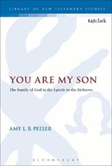 You Are My Son - ASSOCIATE PROFESSOR AMY L. B.  (WHEATON COLLEGE,  USA) Peeler - 9780567665010
