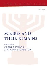 Scribes and Their Remains - Dr. Craig A. Evans ; Dr Jeremiah J. Johnston - 9780567688040