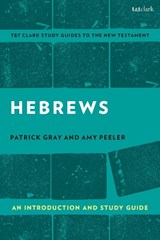 Hebrews: An Introduction and Study Guide - Amy L. B. Peeler; Patrick Gray - 9780567694812