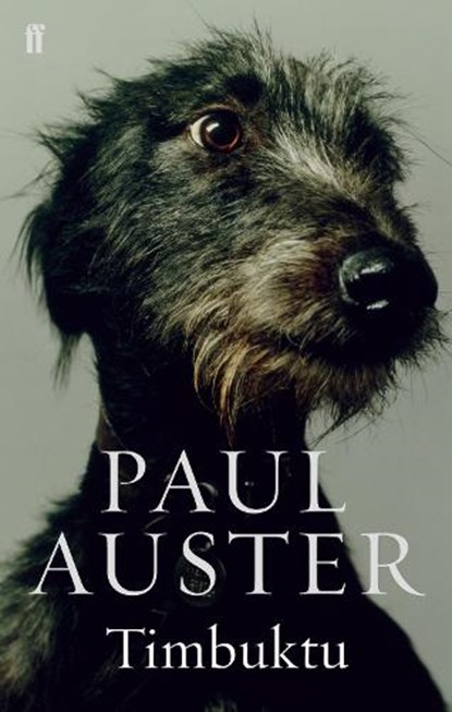 Timbuktu, Paul Auster - Paperback - 9780571229093