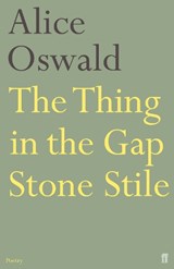 The Thing in the Gap Stone Stile - Alice Oswald - 9780571236947