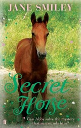Secret Horse - Jane Smiley - 9780571274475