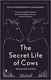 Secret life of cows