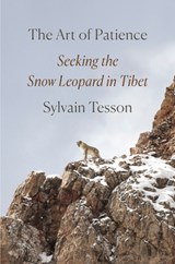 ART OF PATIENCE - TESSON,  Sylvain - 9780593296288