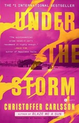 Under the Storm - Christoffer Carlsson ; Rachel Willson-Broyles - 9780593449387