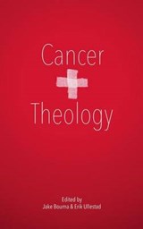 Cancer & Theology - Brian D McLaren - 9780615946979