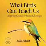 What Birds Can Teach Us - Julie Pallant - 9780645347609