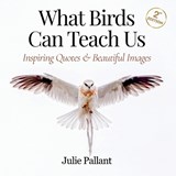 What Birds Can Teach Us - Julie Pallant - 9780645347647