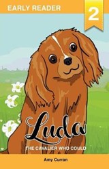 Luda the Cavalier Who Could - Amy Curran - 9780648239321