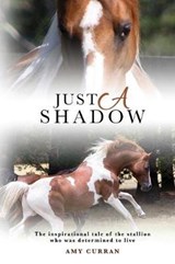 Just a Shadow - Amy Curran - 9780648239383