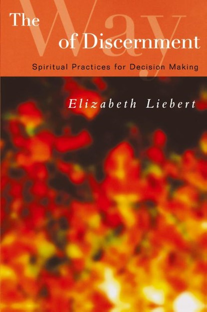 The Way of Discernment, Elizabeth Liebert - Paperback - 9780664228705
