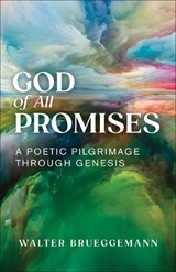 God of All Promises - Walter Brueggemann - 9780664269388