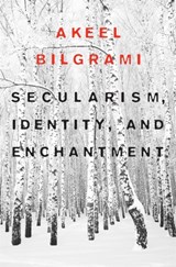 Secularism, Identity, and Enchantment - Akeel Bilgrami - 9780674052048