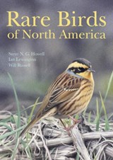 Rare Birds of North America - Steve N. G. Howell ; Ian Lewington ; Will Russell - 9780691117966
