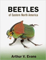 Beetles of Eastern North America - Arthur V. Evans - 9780691133041