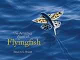 The Amazing World of Flyingfish - Steve N. G. Howell - 9780691160115
