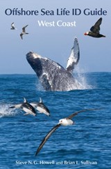Offshore Sea Life ID Guide - Steve N. G. Howell ; Brian L. Sullivan - 9780691166131