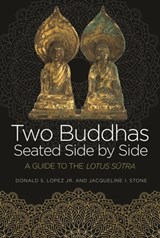 Two Buddhas Seated Side by Side - Donald S. Lopez ; Jacqueline I. Stone - 9780691174204