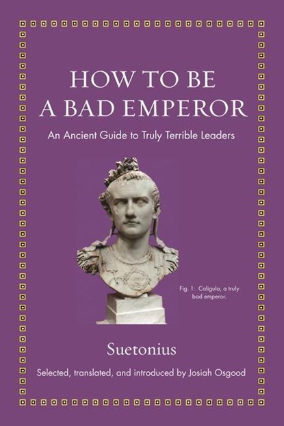 How to Be a Bad Emperor, Suetonius - Gebonden - 9780691193991