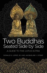 Two Buddhas Seated Side by Side - Donald S. Lopez ; Jacqueline I. Stone - 9780691227948