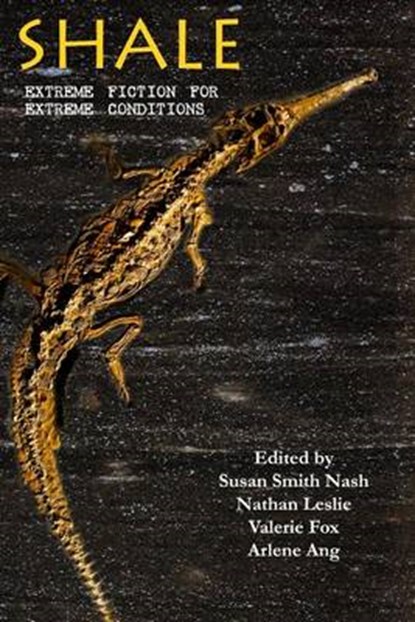 Shale, Texture Press - Paperback - 9780692520420