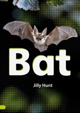 Bat (Set 02) - Jilly Hunt - 9780702327070