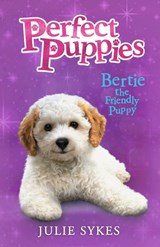 Bertie the Friendly Puppy - Julie Sykes - 9780702341496