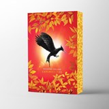 The Hunger Games: Catching Fire Deluxe - Suzanne Collins - 9780702342394