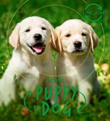 Lifecycles - Pup To Dog - DE LA BEDOYERE,  Camilla - 9780711243651