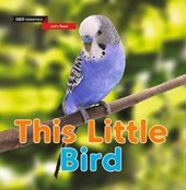 Let's Read: This Little Bird