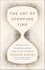 The Art of Stopping Time - Pedram Shojai - 9780718189198