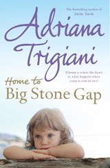 Home to Big Stone Gap - Trigiani, Adriana - 9780743495905