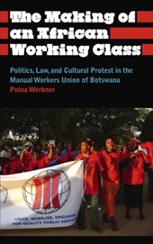 The Making of an African Working Class