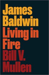 James Baldwin - Bill V. Mullen - 9780745338545