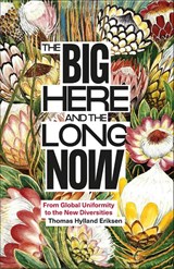 The Big Here and the Long Now - Thomas Hylland Eriksen - 9780745352220