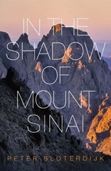 In The Shadow of Mount Sinai - Peter (Karlsruhe School of Design) Sloterdijk - 9780745699233