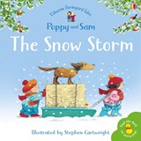 The Snow Storm - Heather Amery - 9780746063118