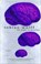 The Night in Question, Tobias Wolff - Paperback - 9780747531654