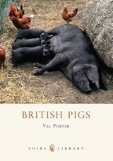 British Pigs - PORTER,  Val - 9780747807636