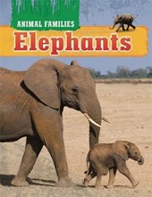 Animal Families: Elephants
