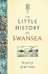 The Little History of Swansea - David Gwynn - 9780750993074