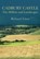 Cadbury Castle, Richard Tabor - Paperback - 9780752447155