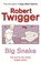 Big Snake, Robert Twigger - Paperback - 9780753808573