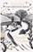 Consider the Lilies, Iain Crichton-Smith - Paperback - 9780753812938