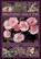 Pruning Success, Andrew Mikolajski - Gebonden - 9780754826477