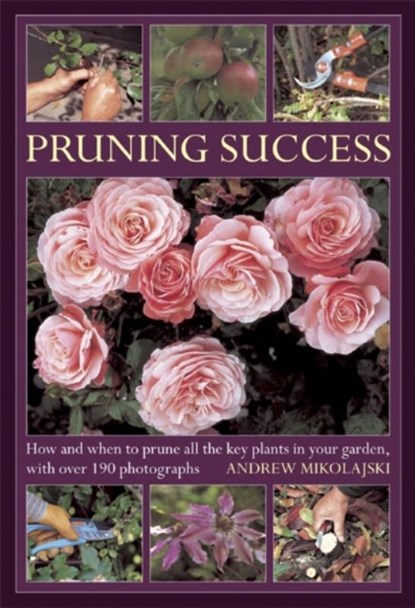Pruning Success, Andrew Mikolajski - Gebonden - 9780754826477